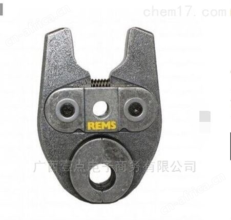rems中国区代理rems品牌rems型号