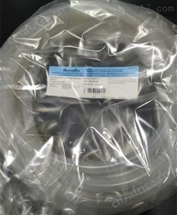 96410-73Masterflex I/P73铂金硅胶管96410-73