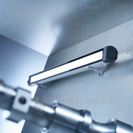 Waldmann-113163000-00662729照明灯原装