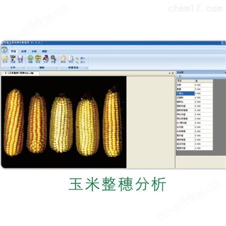 TPKZ-1作物考种分析系统 玉米考种仪