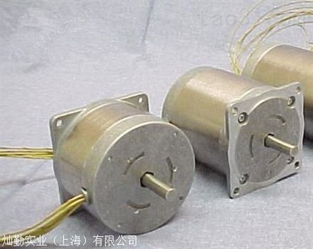Empire Magnetics步进电机主轴