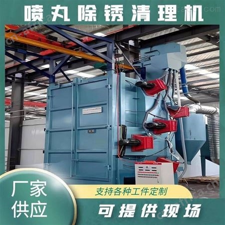日照吊钩式抛丸机 双吊钩抛丸机厂家 清理除锈机设备