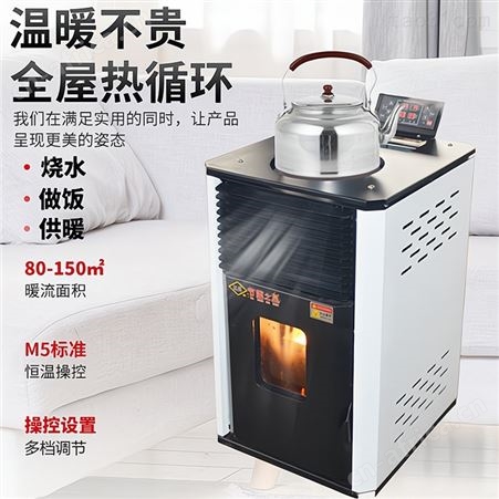 烧水的颗粒取暖炉 冬季取暖炉子 取暖壁炉