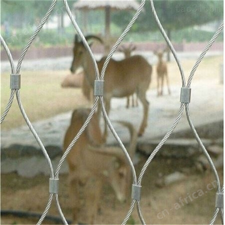 西润防高空坠物不锈钢绳网 高楼防护网 高空防坠网 动物园防护网
