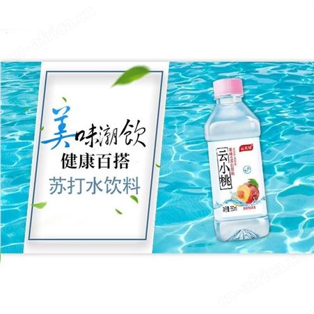 云小桃果味苏打水饮料蜜桃味苏打水饮品350ml