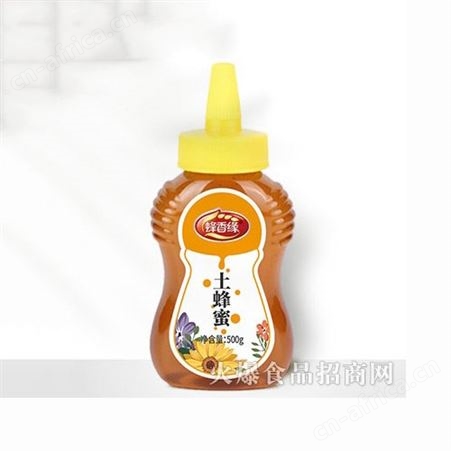 枣花蜂蜜瓶装500g成熟蜜小瓶便携易倒式蜂农直供