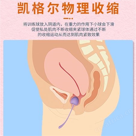 斯汉德樱桃盆底肌肉凯格尔球女用阴道哑铃紧致缩阴锻炼聪明球