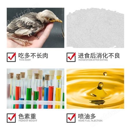开元鹩哥雏鸟食鹩哥雏八哥幼鸟专用奶粉面食乌鸫幼鸟粮营养