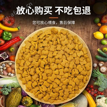 安肯狗粮成犬粮小中大型柴犬哈士奇金毛贵宾博美全犬种通用型