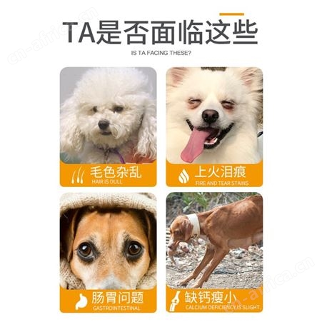 安肯肉松双拼成犬粮牛肉益生菌宠物泰迪比熊通用型小型犬狗粮10kg