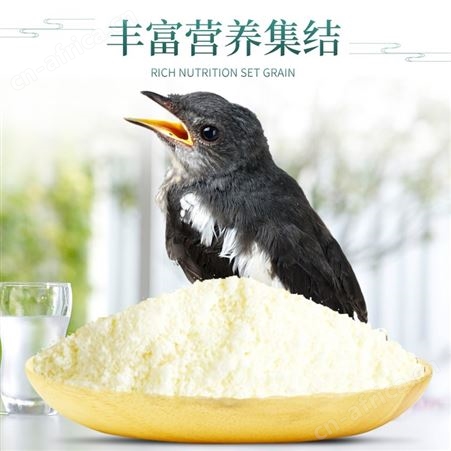 开元鹩哥雏鸟食鹩哥雏八哥幼鸟专用奶粉面食乌鸫幼鸟粮营养