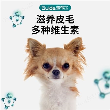 盖帝尔小型犬幼犬奶糕专用狗粮泰迪柯基比熊法斗2/3/4个月1.5kg