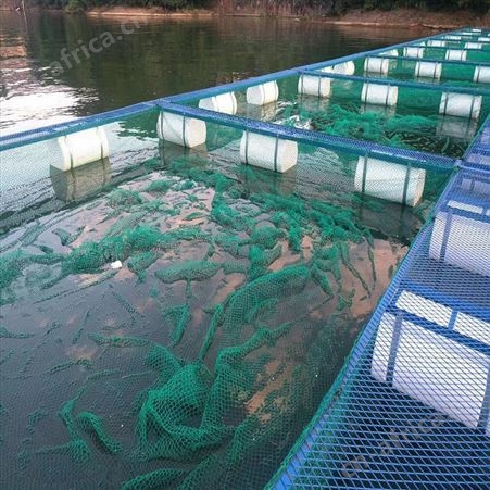 出售尼龙网箱 养殖网箱渔网 福利 海参鲍鱼养殖网箱