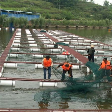 福利 养鱼网箱批发 定做龙虾带盖养殖网箱 加沿边防逃网箱
