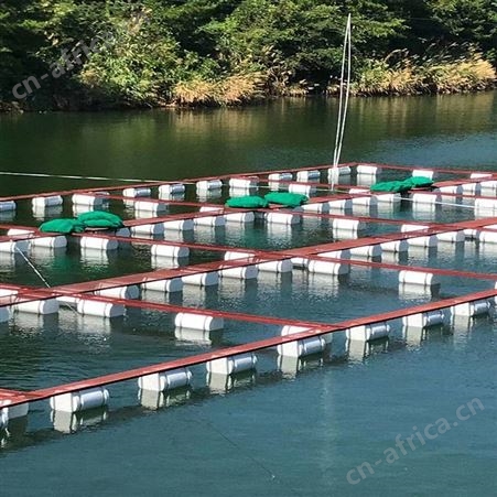 加厚泥鳅养殖网箱 养鱼龙虾螃蟹网箱 福利 10目加厚养殖网箱