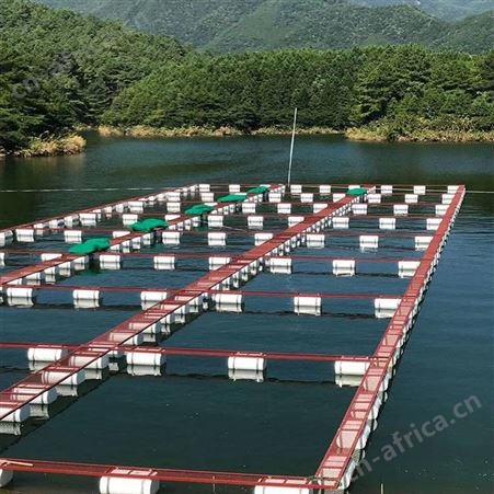 养鱼网箱批发 防跳漏网箱 福利 大闸蟹虾黄鳝网箱