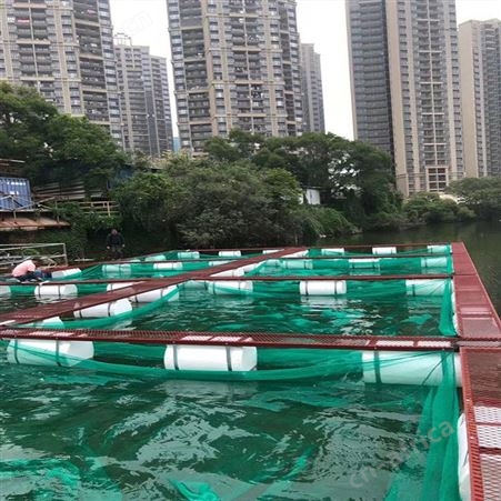 批发加盖网箱 黄鳝网箱养鱼网箱 福利 定做渔网拉网网箱
