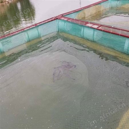 60目厚网布网箱 水蛭网箱批发定制 福利 可折叠周转网箱