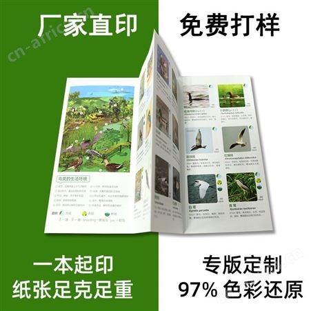 宣企订做说明书定做宣传册员工手册资料双面单页海报