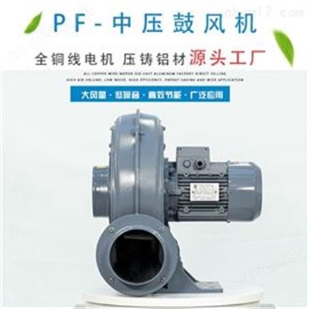 PF100-05小功率直叶式中压鼓风机