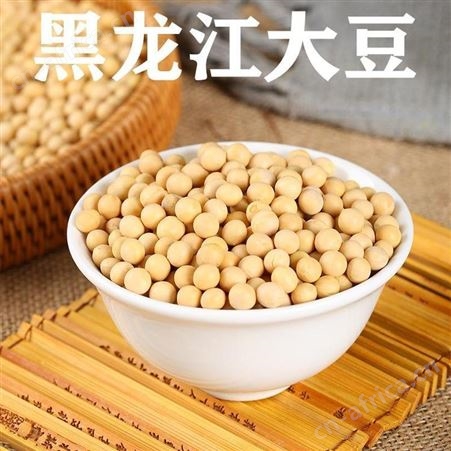 黄豆价格 黑龙江大豆出厂价走势新行情 国内东北绥化海伦大豆毛粮期货 和粮农业