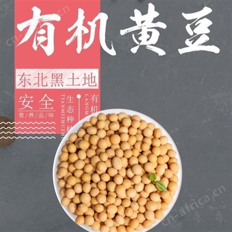 黄豆价格 黑龙江大豆出厂价走势新行情 国内东北绥化海伦大豆毛粮期货 和粮农业