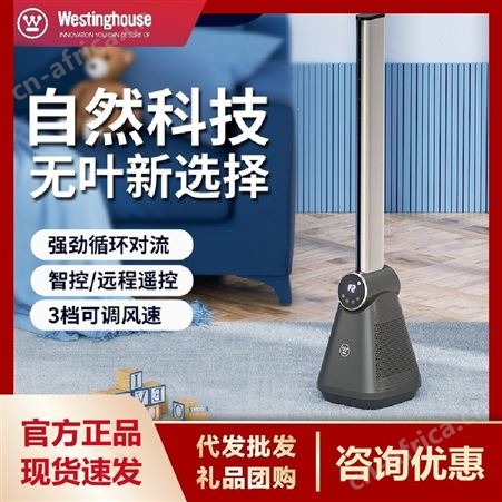 西屋无叶电风扇 3种模式 智控显示大屏广角送风可预约TS5013R