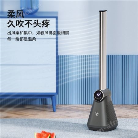 西屋无叶电风扇 3种模式 智控显示大屏广角送风可预约TS5013R