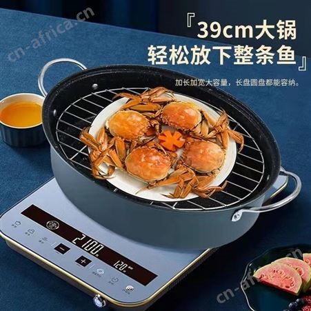 荣事达 多功能料理锅 RSD012-FJ 沃蓝达 荣事达总代理商 总经销商