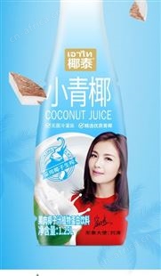 椰泰生榨果肉椰子汁植物蛋白饮料流通商超餐饮招商代理