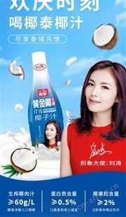 椰泰生榨果肉椰子汁植物蛋白饮料流通商超餐饮招商代理