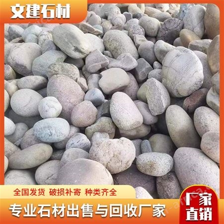 鹅卵石 杂色河滩石 水池垫底河道石子 草坪点缀景观石