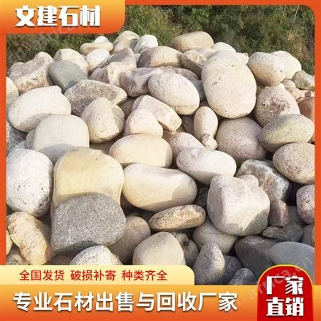 鹅卵石 杂色河滩石 水池垫底河道石子 草坪点缀景观石