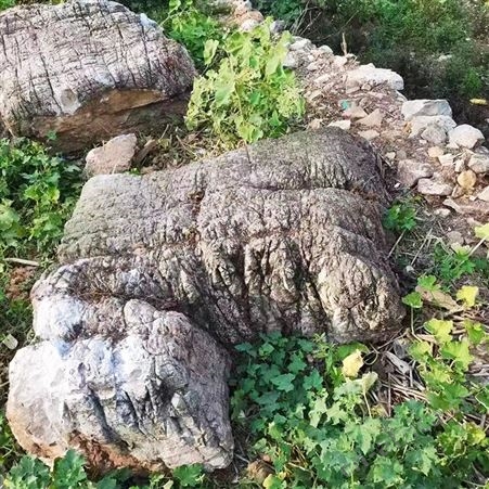 驳岸龟纹石 别墅施工天然假山石料 奇石景观石批发