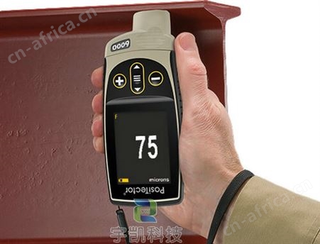 美国DeFelsko一体式金属膜厚仪PosiTector6000N1/F1