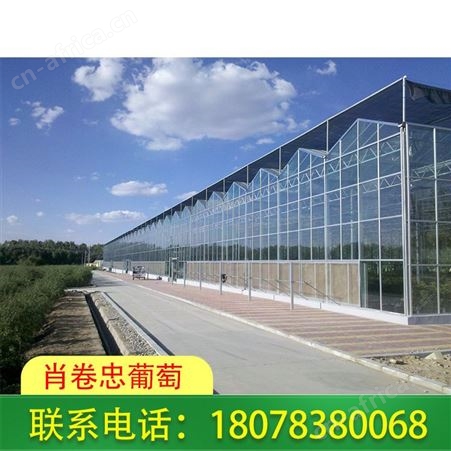 广西温室大棚类型有种植温室、养殖温室、展览温室、餐饮温室、娱乐温室
