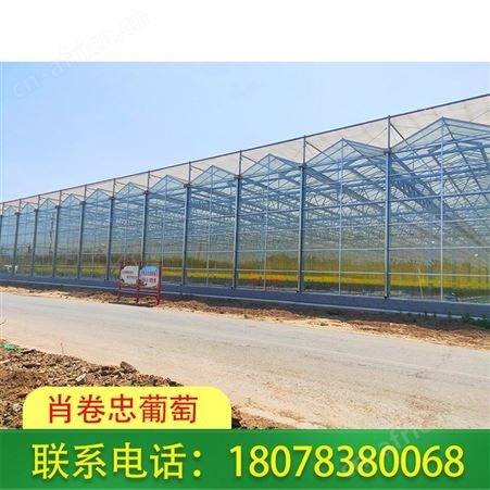 广西花卉大棚-连栋温室大棚报价合理