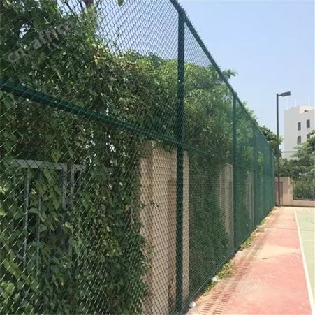组装式方管 耐腾围网 不易撞击变形 广东佛山 球场围栏厂家
