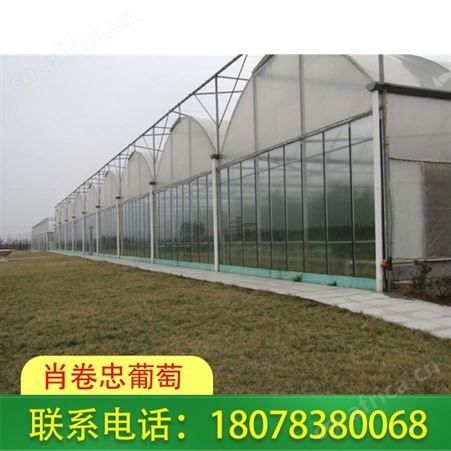广西花卉大棚-连栋温室大棚报价合理