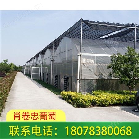 柳州玻璃连栋温室大棚适用生态餐厅、休闲观光等