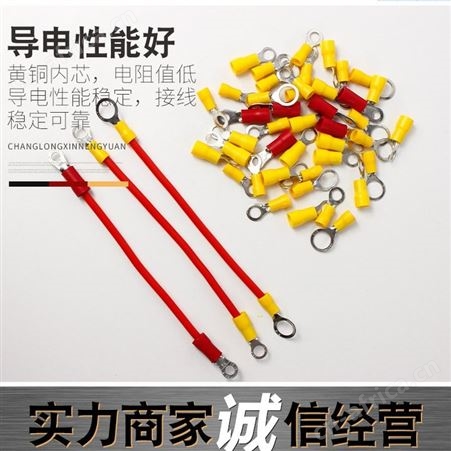 泉立威电动车电池连接线电瓶耐高温2.5平方全铜加粗两端圆环可定制