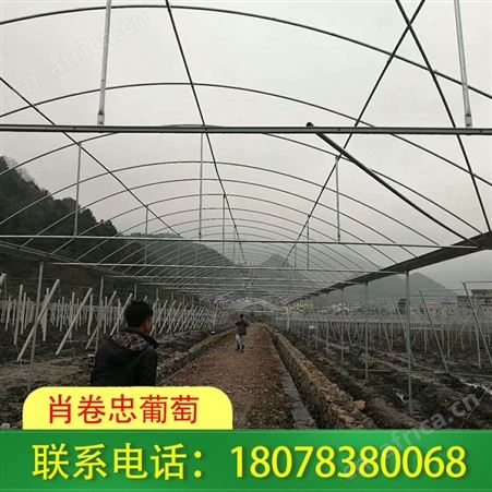 南宁钢结构连栋大棚架安装公司服务好