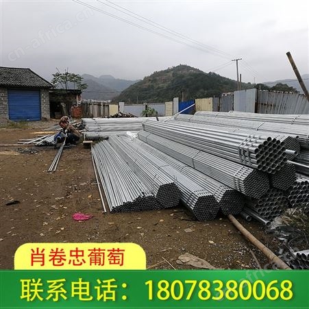 贺州钢管独立大棚—草莓园搭建施工工程