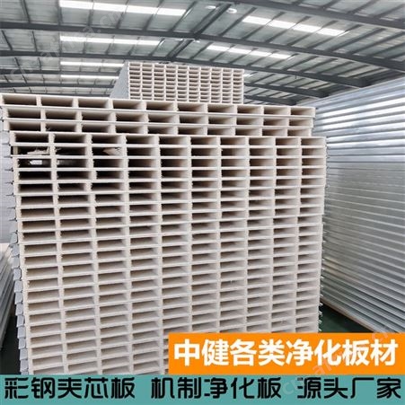 中健集团 洁净工程净化板批发 机制岩棉双玻镁彩钢夹芯板定制隔板