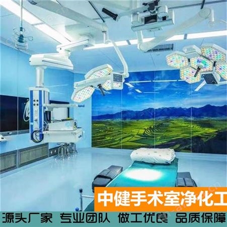 中健集团 无菌无尘工厂车间 净化工程承包 gmp净化车间定制上门安装