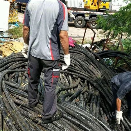 镇江进口电缆线回收现金结算