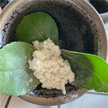 生产木制纤维粉 絮状木质纤维白色细木粉 造纸制香用途