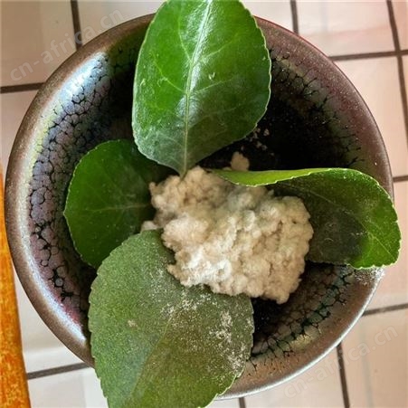 生产木制纤维粉 絮状木质纤维白色细木粉 造纸制香用途