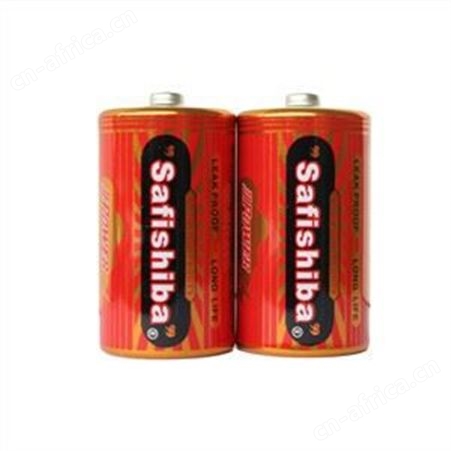 D Size Household Battery