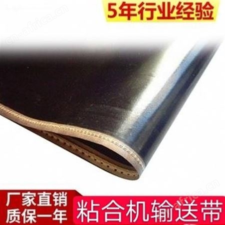 侨尔瑞铁氟龙无缝粘合机带 加导条防跑偏铁氟龙粘合机皮带